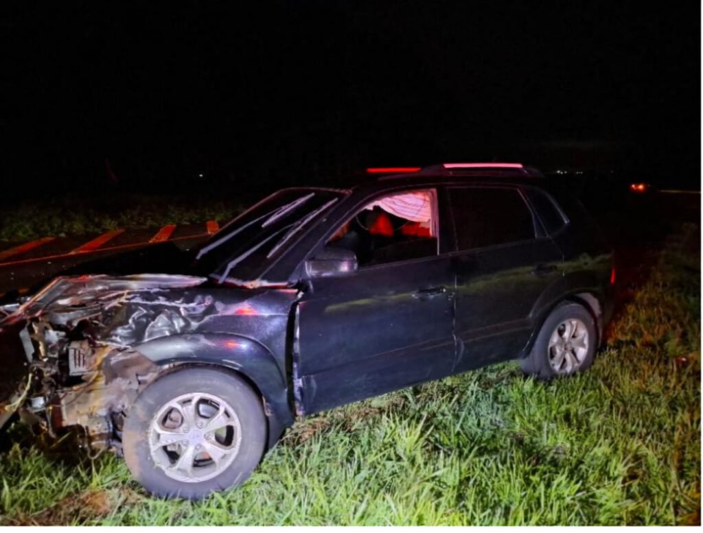 Motorista atropela boi solto na pista na PR-182, em Maripá