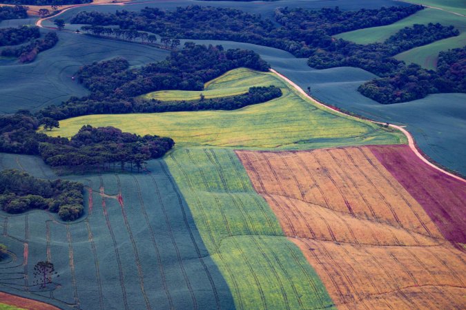 TRF4 mantém vitória do Paraná sobre legislação ambiental e dá segurança aos agricultores
