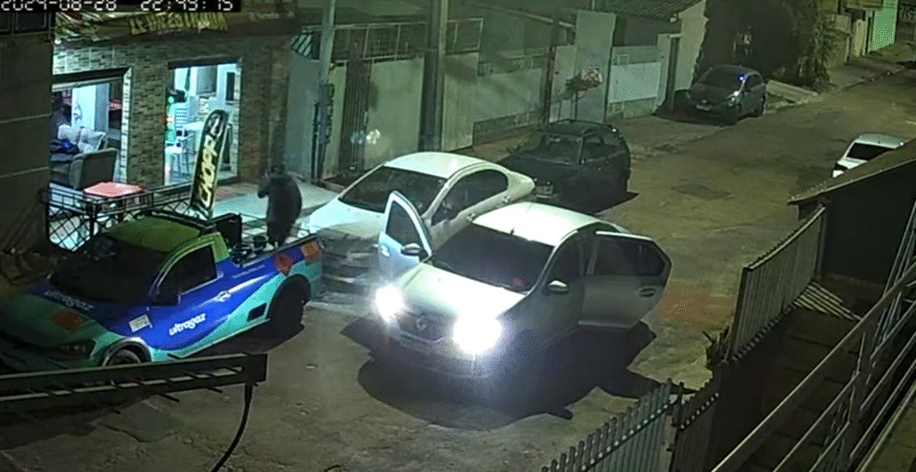 PCPR esclarece homicídio e prende três homens ligados a outros crimes em Curitiba e Litoral