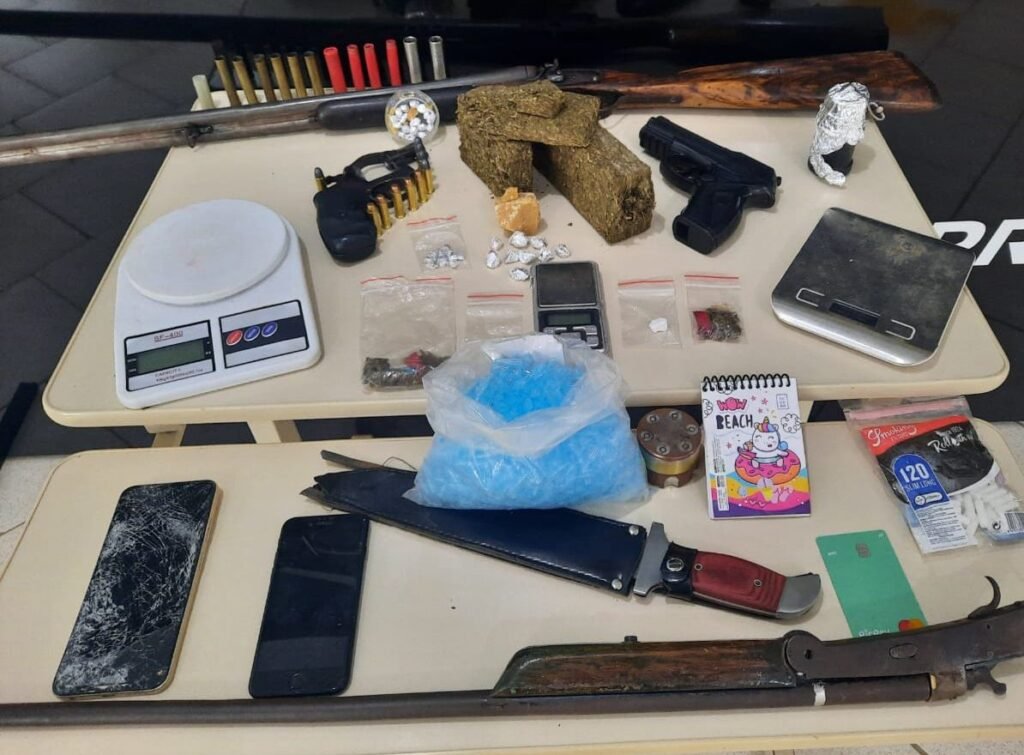 Polícia Civil apreende drogas e armas em Arapoti