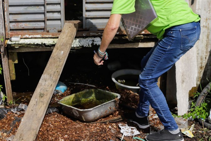Casos e mortes de dengue caem mais de 80% no Paraná; Saúde mantém alerta para prevenção