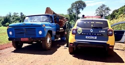 Polícia Ambiental apreende 92 m³ de madeira e embarga serraria em Mercedes