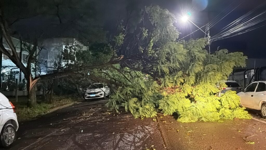 Temporal provoca quedas de árvore e destelhamento em Cascavel