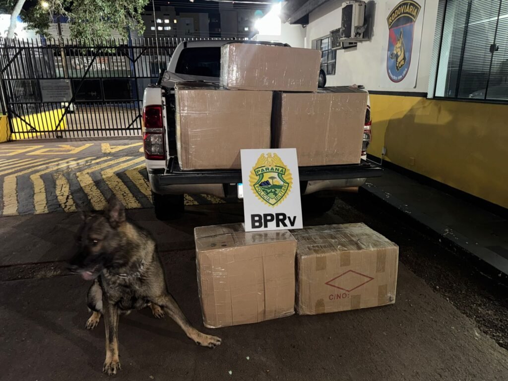 Polícia apreende carga de cigarros eletrônicos avaliada em R$ 350 mil na BR-277, em Cascavel