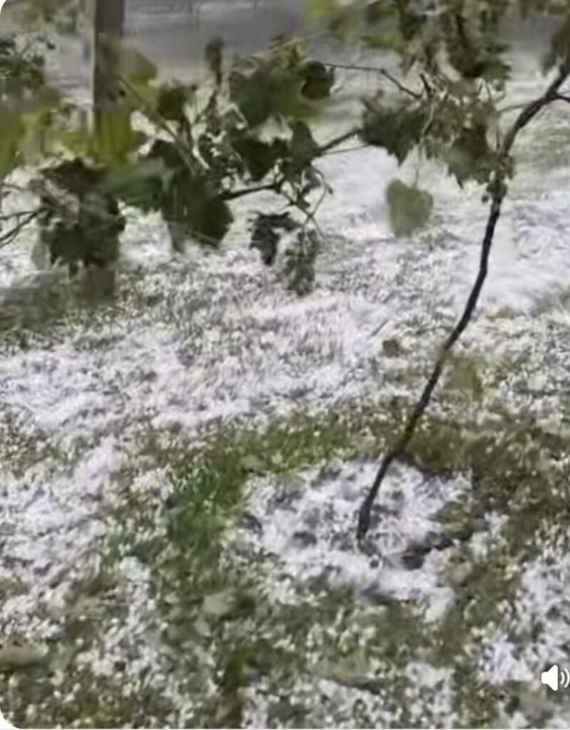 Internautas registram queda de granizoem Mato Rico