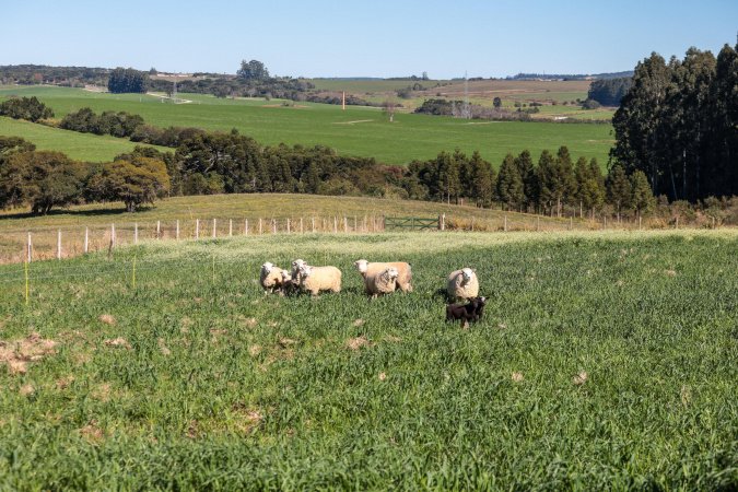 Ratinho Junior sanciona lei que prevê aumento do investimento em conectividade rural
