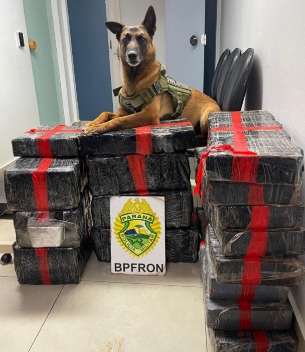 BPFron, Receita Federal e PM de Santa Catarina apreendem 193kg de maconha em Toledo