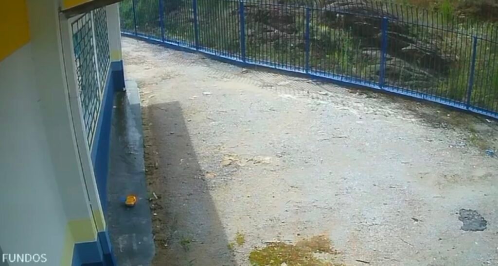 Polícia Civil prende suspeito de tentativa de homicídio qualificado em Castro