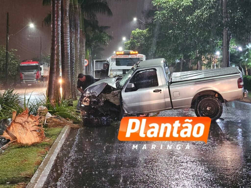 Três mulheres ficam feridas após carro colidir contra palmeiras em Maringá