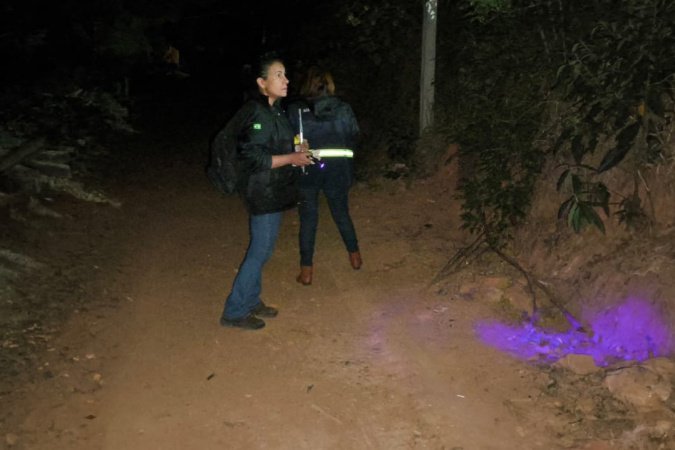 Ações da Saúde no Norte Pioneiro capturam mais de 5 mil escorpiões desde agosto