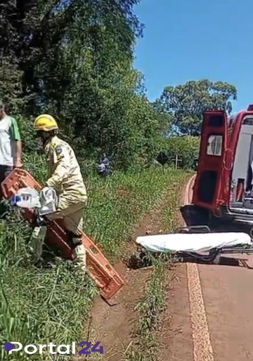 Caminhão carregado de suínos tomba na PR-180, em Rio do Salto