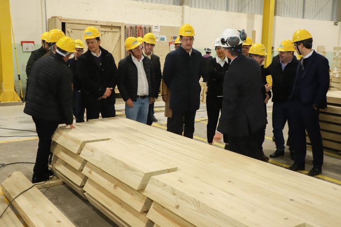 Paraná propõe compra de créditos tributários e redução de ICMS para auxiliar setor madeireiro