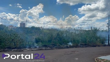 Incêndio em área de mata é registrado próximo ao Eco Park Oeste, em Cascavel