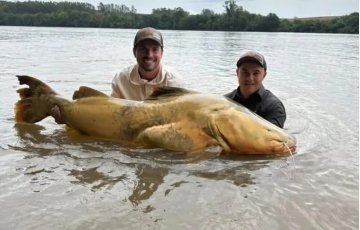 Pescador de Maringá captura jaú recorde no Rio Ivaí e entra para Hall da Fama da BGFA