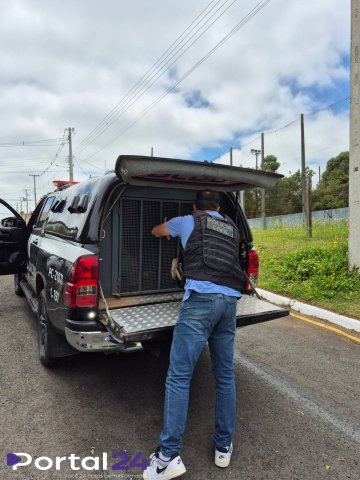 Polícia Civil conclui inquérito sobre tentativa de homicídio em Castro