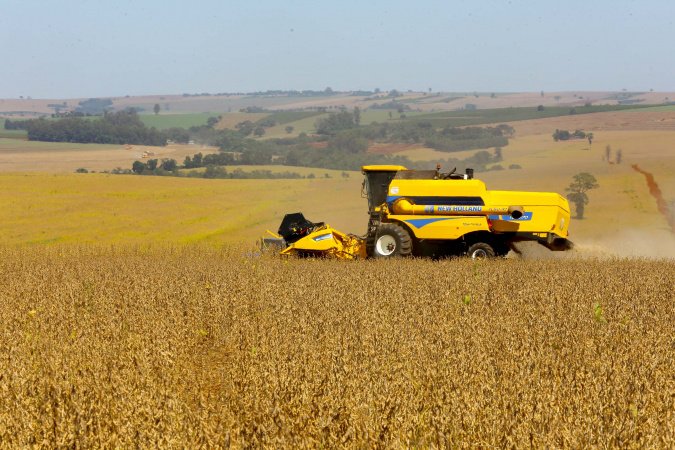 Safra de Soja do Paraná se aproxima do recorde e reforça otimismo, aponta Deral