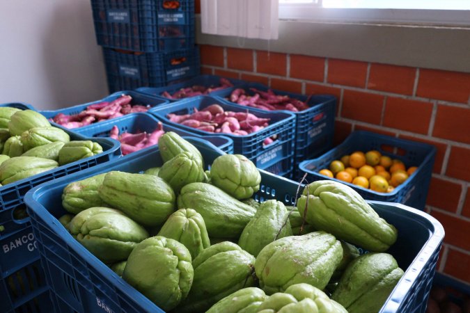 Aparência x qualidade: Estado reforça orientações para evitar desperdício de alimentos