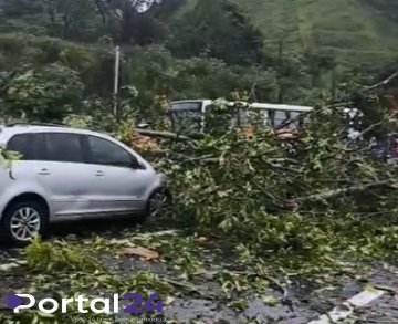 Interdição na BR por queda de árvore entre Rio e São Paulo (Via Dutra)