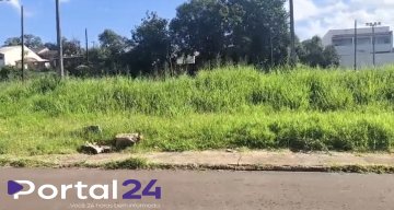 Morador reclama de mato alto próximo a ponto de ônibus no bairro Brasília 1
