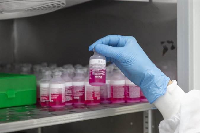 Parceria entre Tecpar e UFPR fortalece processo de produção de vacina antirrábica veterinária