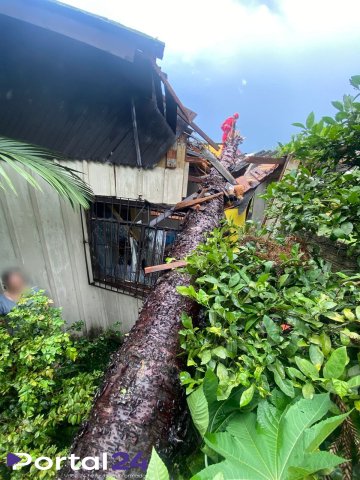 Temporal provoca queda de árvores e mobiliza Defesa Civil em União da Vitória