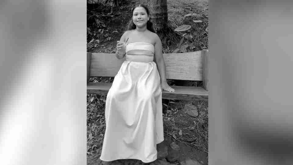 Sofia Furtado Araújo morre após dias internada por ferimentos de acidente na BR-277 - catve.com