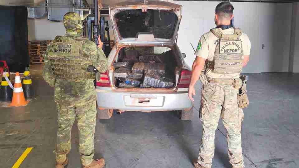 Mais de meia tonelada de maconha é apreendida em área rural de Guaíra - catve.com