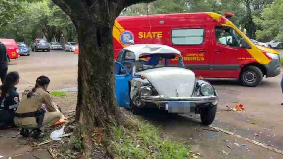 Égua da PM foge e é atropelada por Fusca no Centro de Cascavel - catve.com