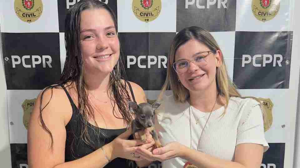 Polícia Civil recupera filhote furtado e identifica dois envolvidos após análise de câmeras - catve.com