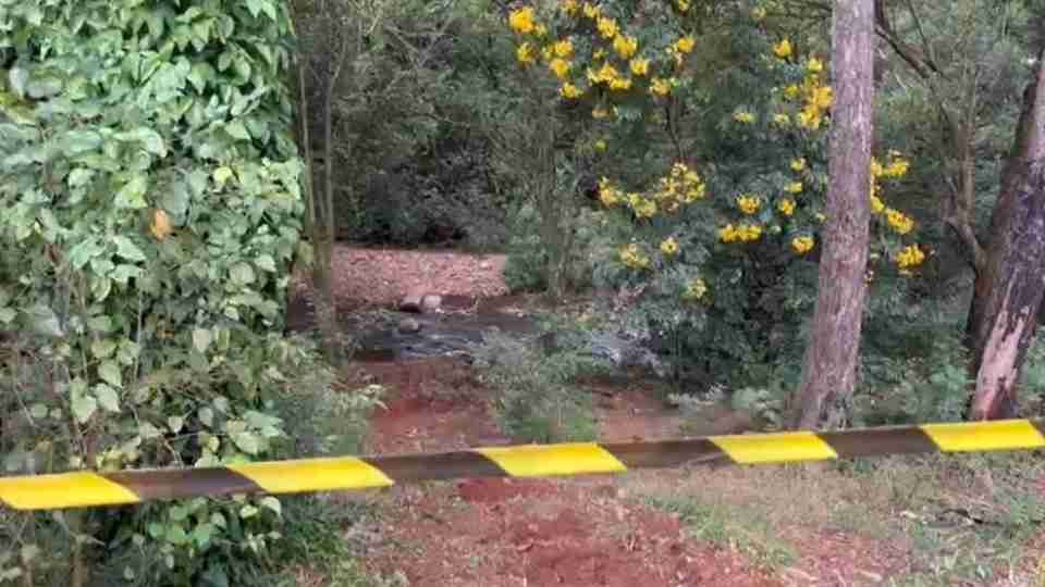 Servidor é atacado por abelhas durante limpeza do Rio Quati - catve.com