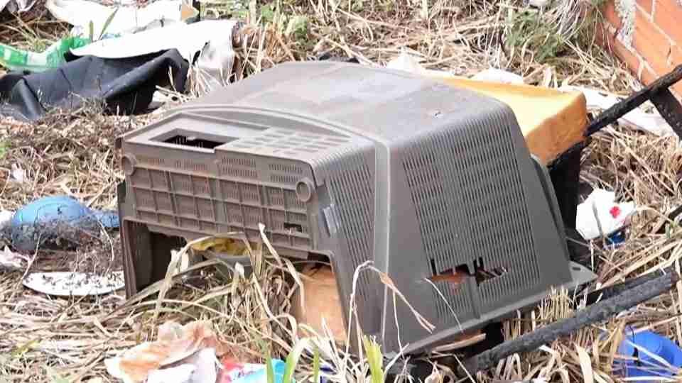 Descarte irregular preocupa moradores na BR-467, em Cascavel - catve.com