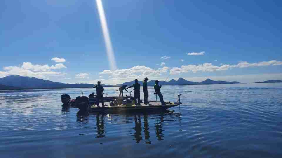 Período de Defeso da Piracema termina no domingo em todo o Paraná - catve.com