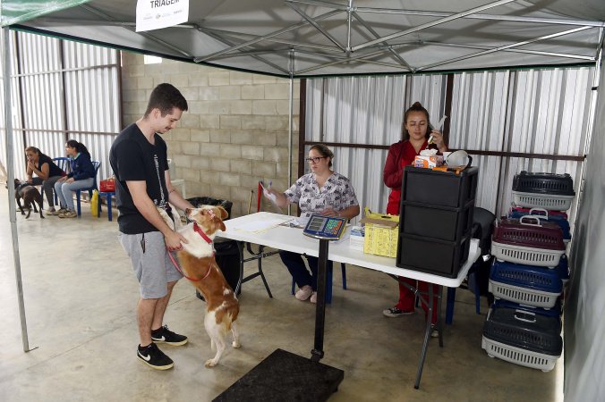 CastraPet leva saúde e bem-estar a cães e gatos da Região Metropolitana de Curitiba