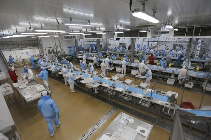 Indústria, comércio, serviços e mais: Paraná começa a semana com 25,8 mil vagas de emprego