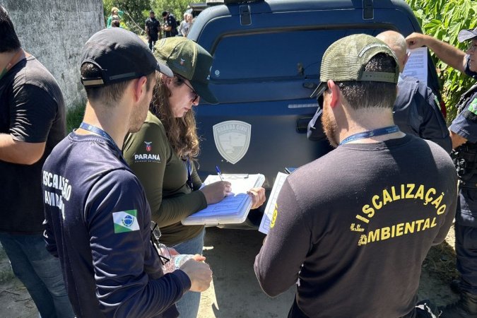 IAT cria novo canal para denúncias de crimes ambientais no Paraná