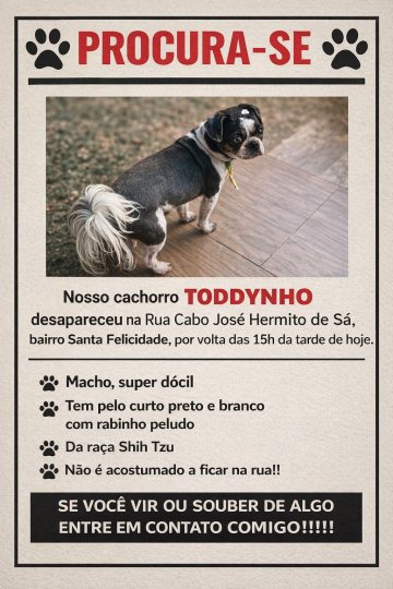 Toddynho desapareceu no Santa Felicidade