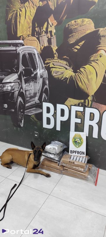 BPFRON apreende drogas em ônibus e prende duas pessoas em Umuarama