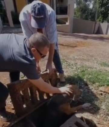 Cachorro é resgatado de dentro de bueiro no Universitário