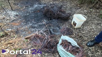 Dois suspeitos de furtar fios fogem e ficam feridos após perseguição da Guarda Municipal