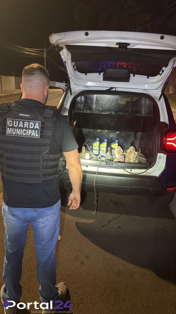 GM recupera pertences furtados em Cascavel