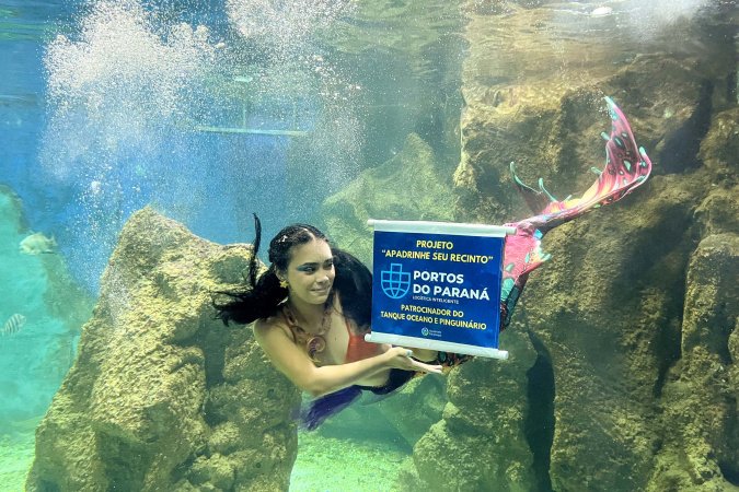 Reforma patrocinada pela Portos do Paraná aprimora ambientes no Aquário de Paranaguá