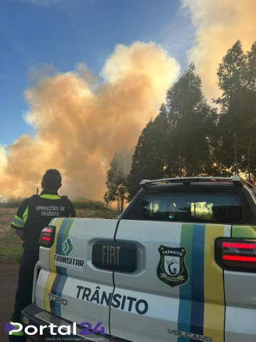 Incêndio atinge grande área de vegetação no bairro 14 de Novembro em Cascavel
