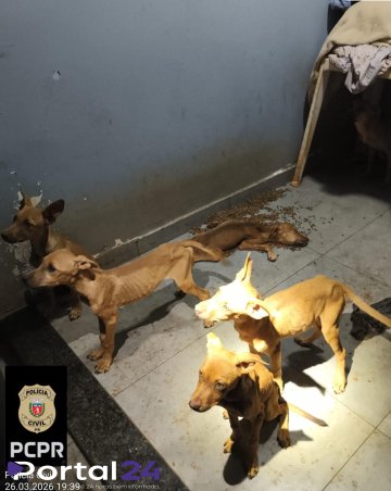 Mulher é presa em flagrante por maus-tratos a animais em Toledo