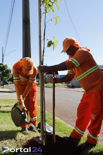 Prefeitura lança programa “Cascavel Mais Verde” com plantio de mil árvores