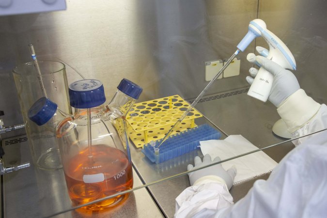 Novo fornecedor do SUS, Tecpar explica o caminho da vacina até o braço da população