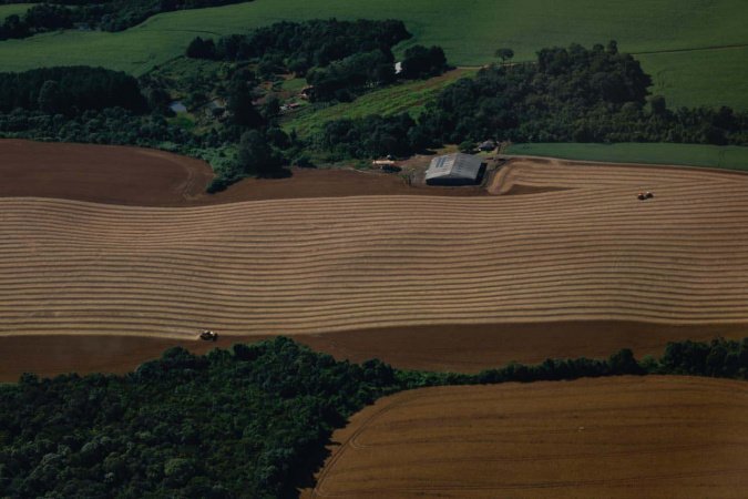 Safra de verão da soja caminha para o fim com 82% já colhida no Paraná