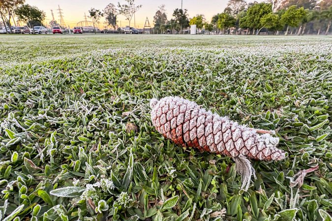 Sinais de inverno: maio terá frentes frias, geada e temperaturas abaixo de 10°C
