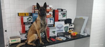 Cinco são detidos em operação da Guarda Municipal por tráfico e receptação