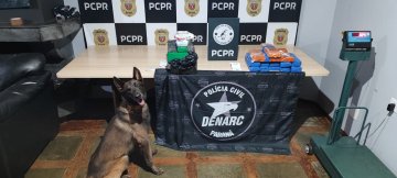 Denarc apreende mais de 30 kg de maconha e prende dois na rodoviária de Cascavel