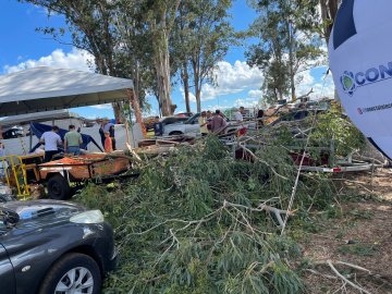 Galho de árvore cai sobre barraca e deixa ferido durante festa em Espigão Alto do Iguaçu
